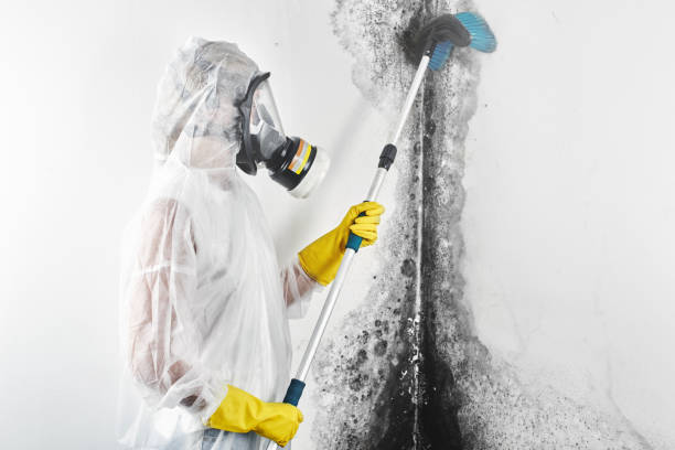 Best Airborne Mold Testing  in Camp Springs, MD