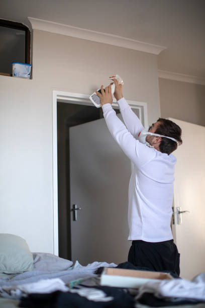 Camp Springs, MD Mold Removal Company
