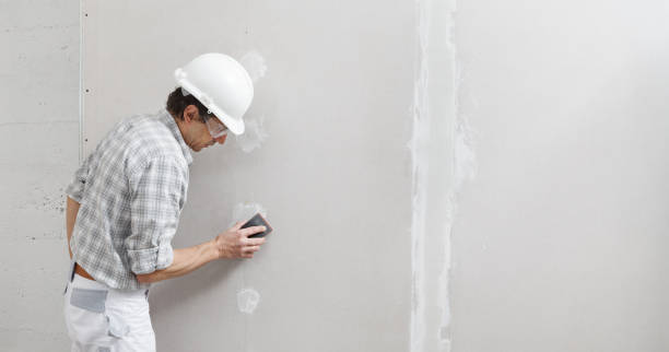 Best Environmental Consulting for Mold Prevention  in Camp Springs, MD