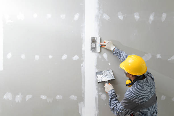 Best Biohazard Mold Removal  in Camp Springs, MD