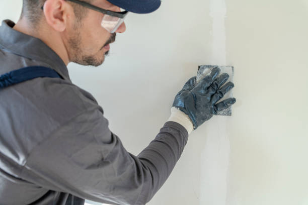 Best Air Quality Testing for Mold Spores  in Camp Springs, MD