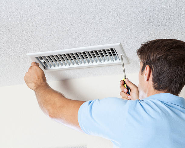  Camp Springs, MD Mold Removal Pros