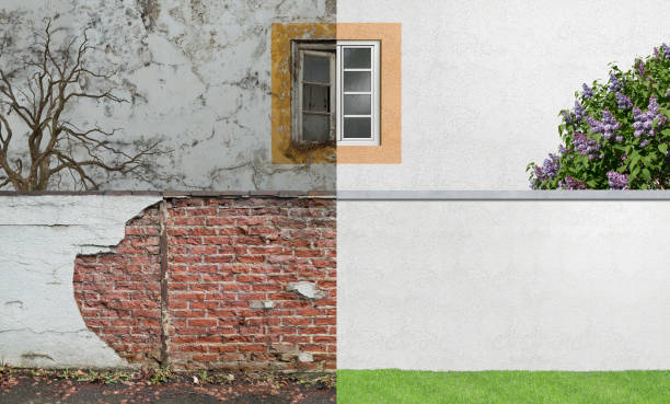 Best Post-Construction Mold Inspection  in Camp Springs, MD
